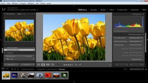 Adobe Photoshop Lightroom 2021 4.2 Crack